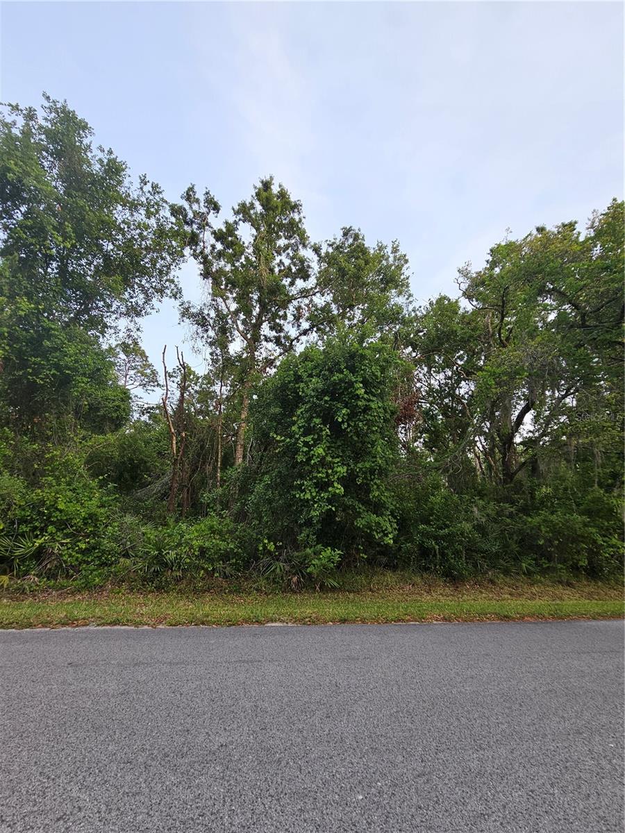Details for 00 Gurnee Avenue, NEW PORT RICHEY, FL 34654