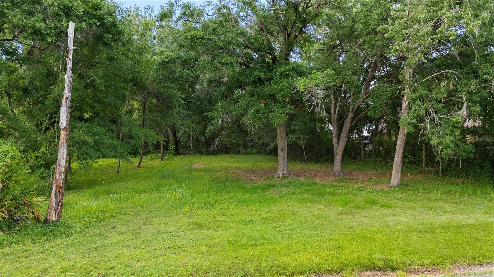 Details for 2510 Victarra Circle, LUTZ, FL 33559