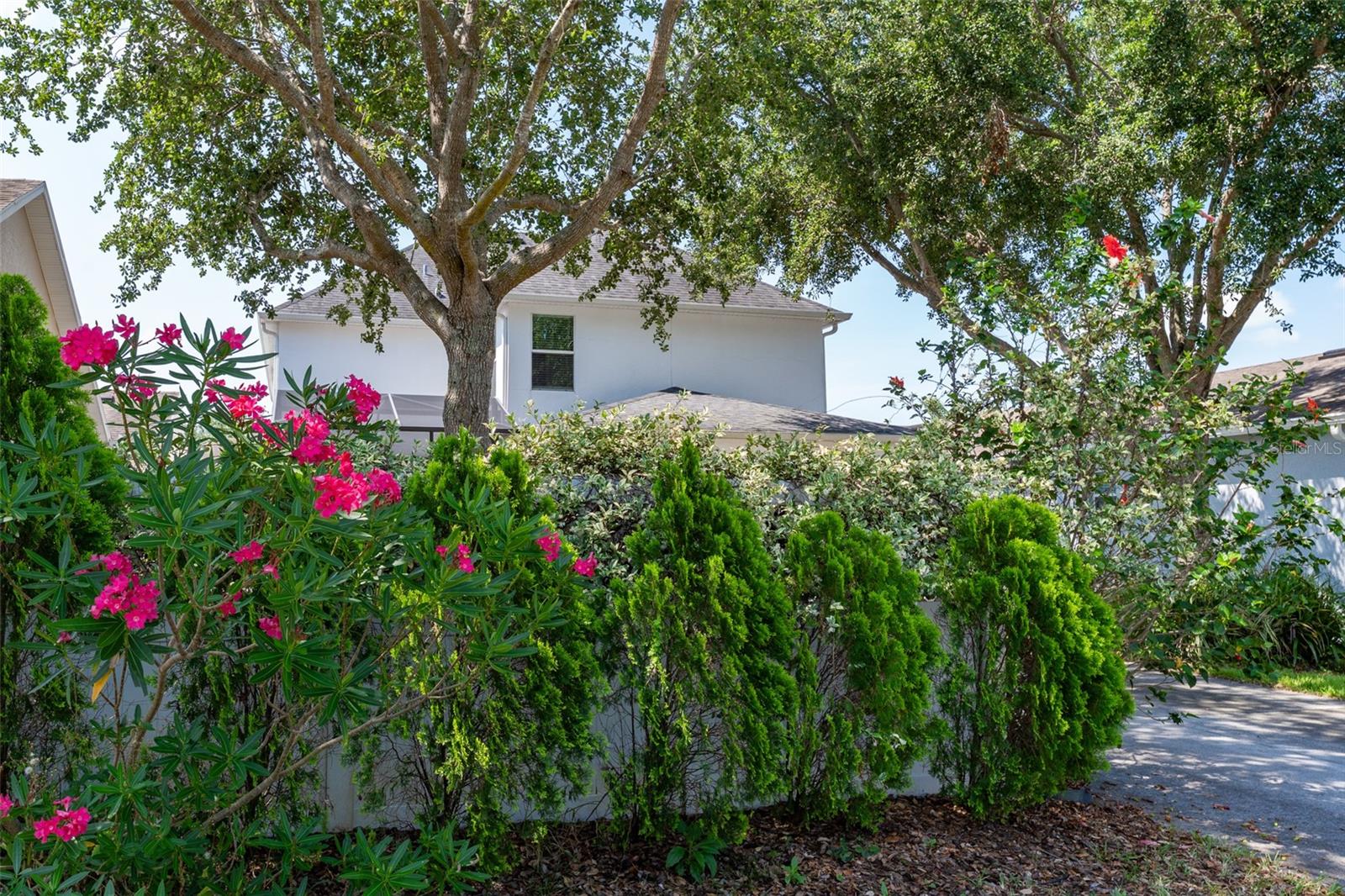 Image 48 of 68 For 14563 Bahama Swallow Boulevard