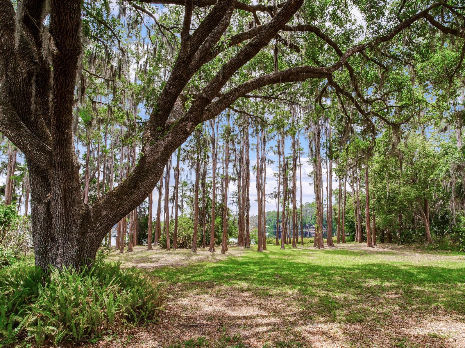 Image 62 of 76 For 7216 Mobley Road
