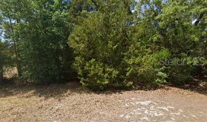 Listing Details for 2672 Willow Terrace, HOMOSASSA, FL 34448