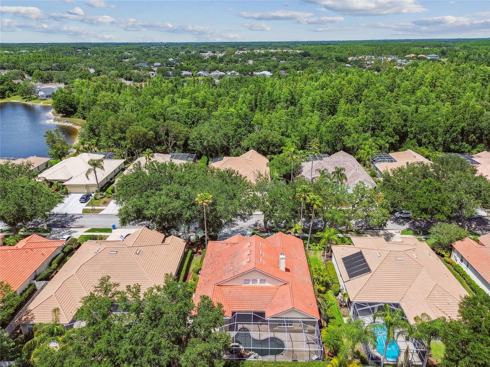 Image 53 of 74 For 10229 Waterside Oaks Drive