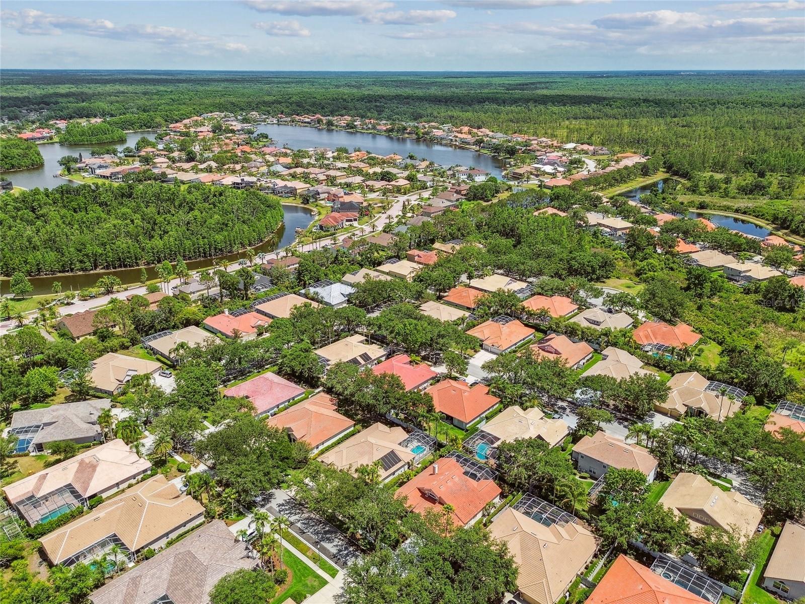 Image 55 of 74 For 10229 Waterside Oaks Drive