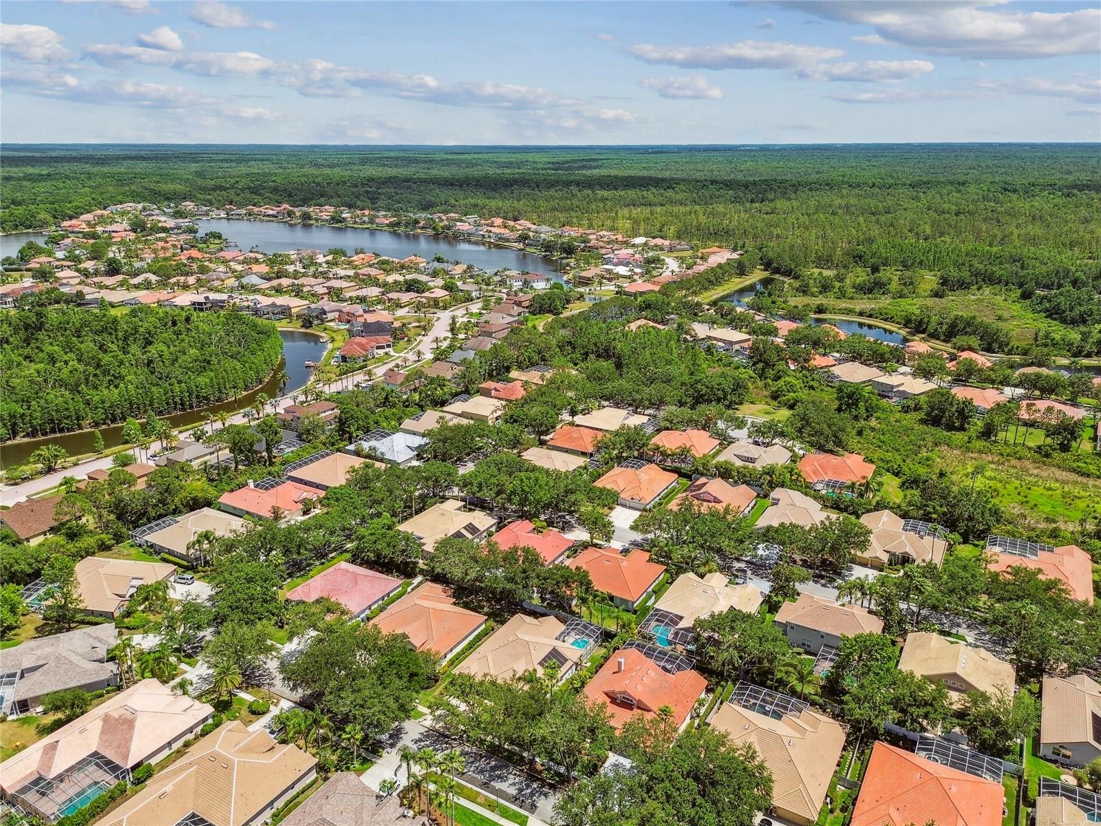 Image 56 of 74 For 10229 Waterside Oaks Drive