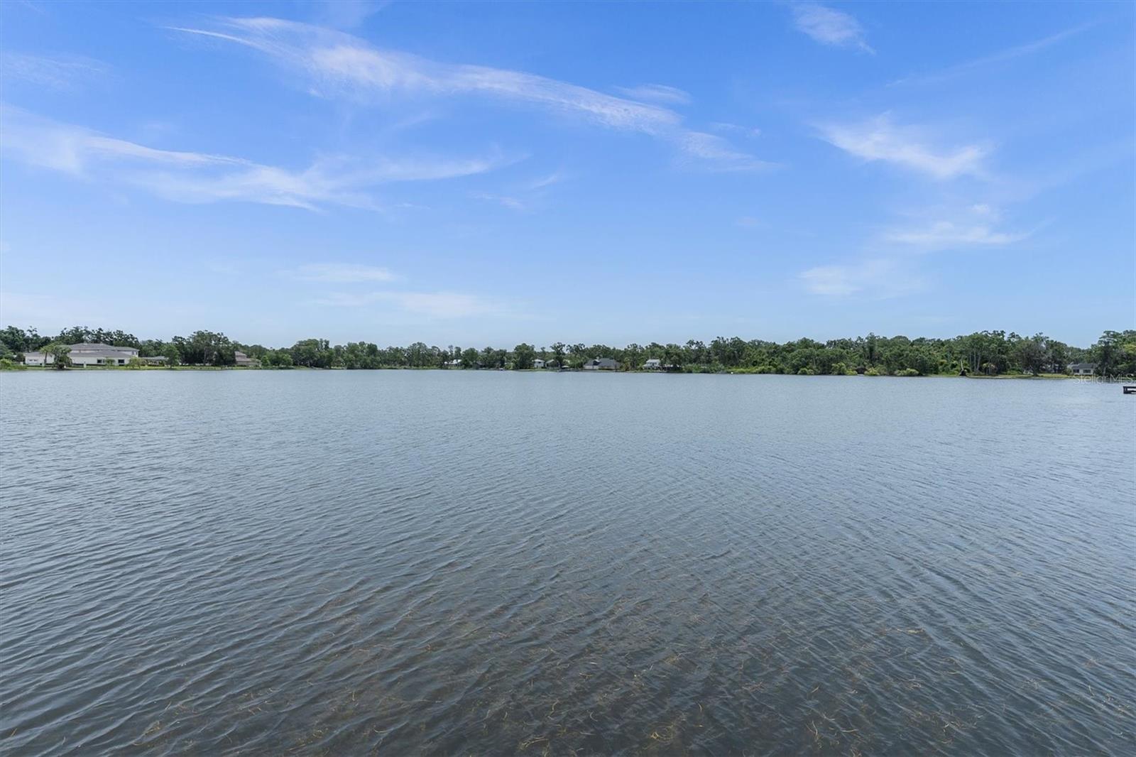 Image 44 of 66 For 13533 Bay Lake Lane