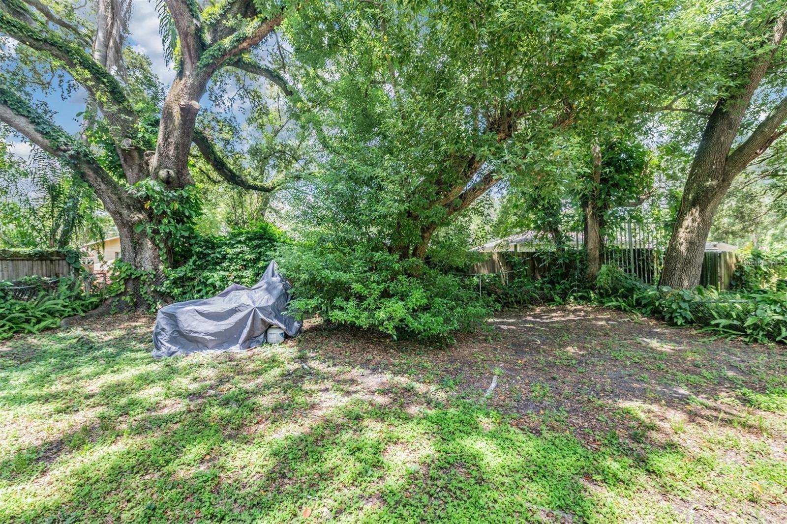Listing photo id 20 for 1608 Linden Avenue