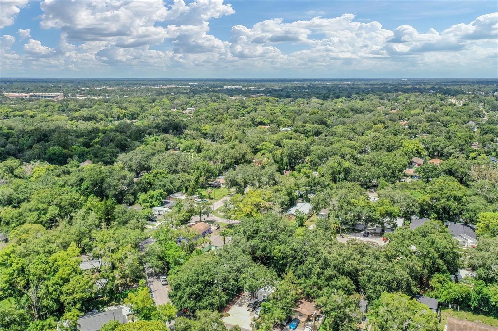 Listing photo id 21 for 1608 Linden Avenue
