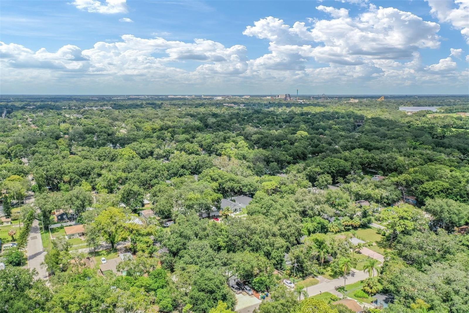 Listing photo id 22 for 1608 Linden Avenue
