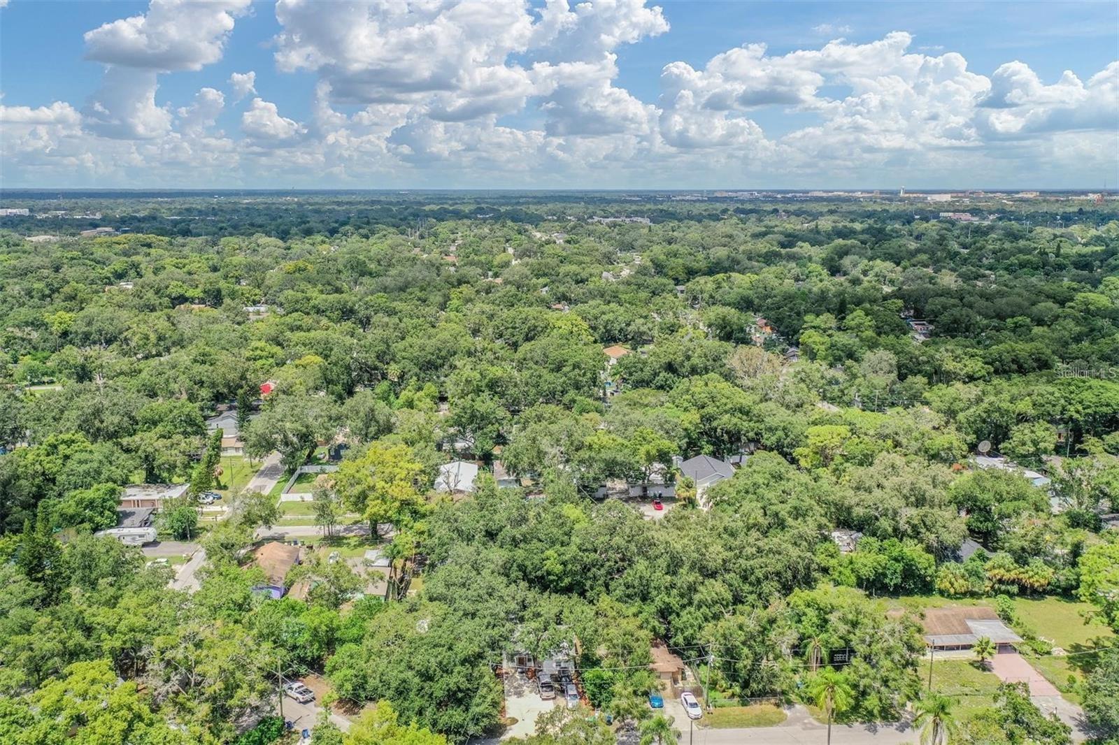 Listing photo id 23 for 1608 Linden Avenue