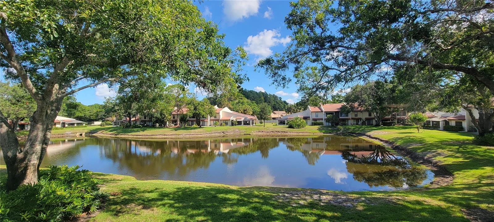 Details for 3505 Tarpon Woods Boulevard P408, PALM HARBOR, FL 34685
