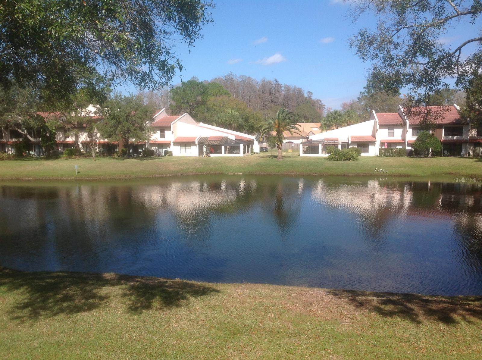 Image 32 of 32 For 3505 Tarpon Woods Boulevard P408