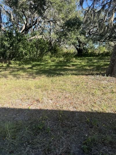 Listing photo id 12 for 7730 Little Road A