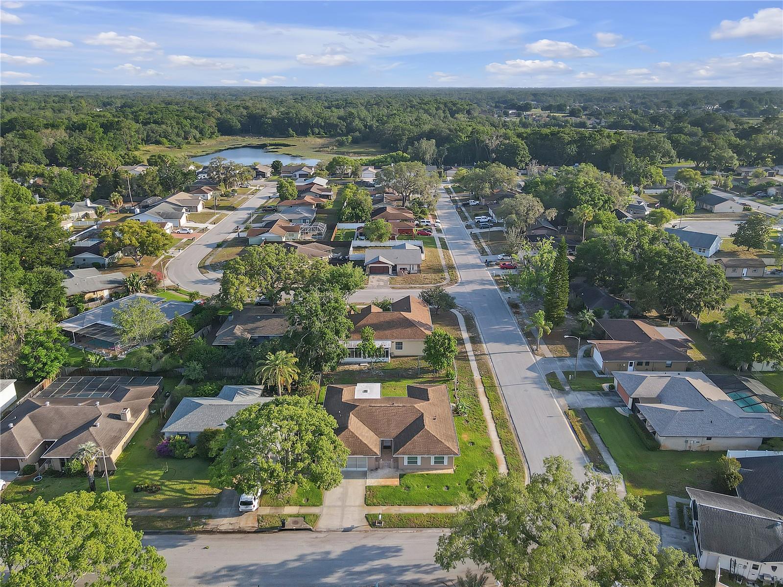 Listing photo id 52 for 12817 Lake Tree Lane