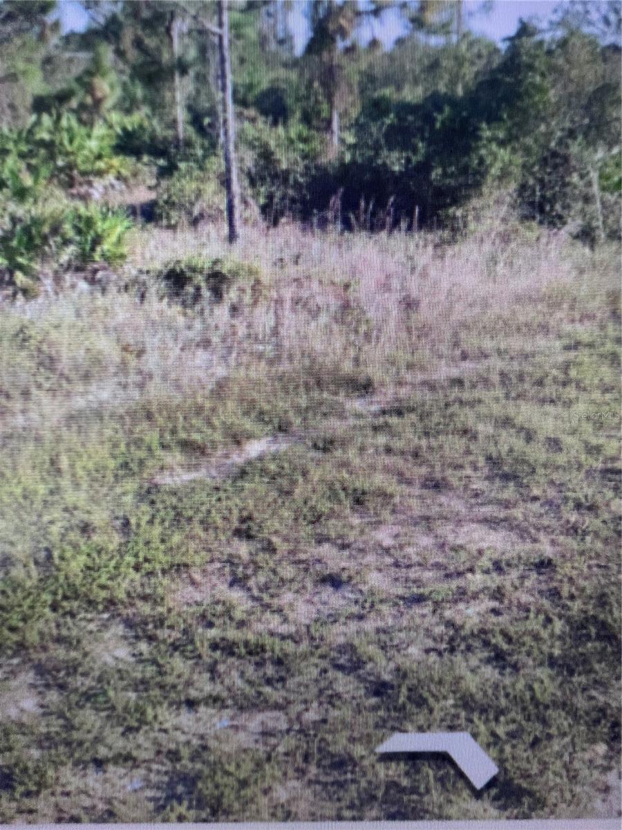 Image 4 of 9 For 6871 Fort Myers Drive