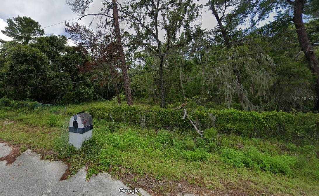 Listing photo id 0 for 10113 Waddell Street
