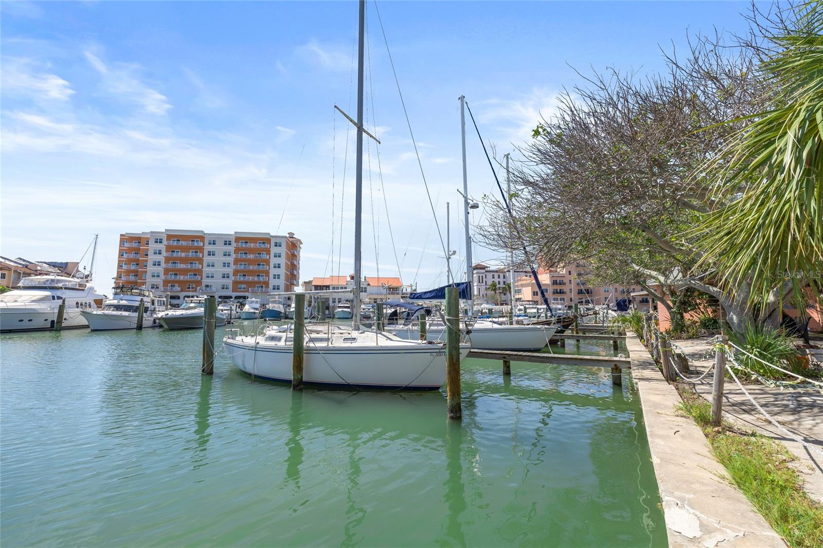 Listing photo id 11 for 225 Boca Ciega Drive