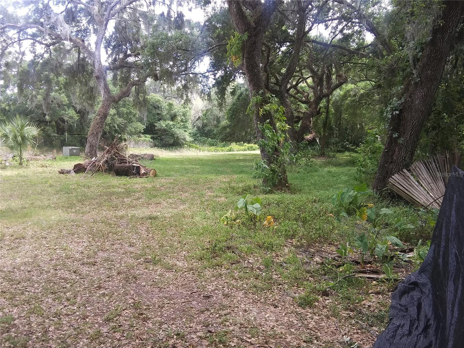 Listing Details for 3352 Sandy Drive, ZEPHYRHILLS, FL 33541
