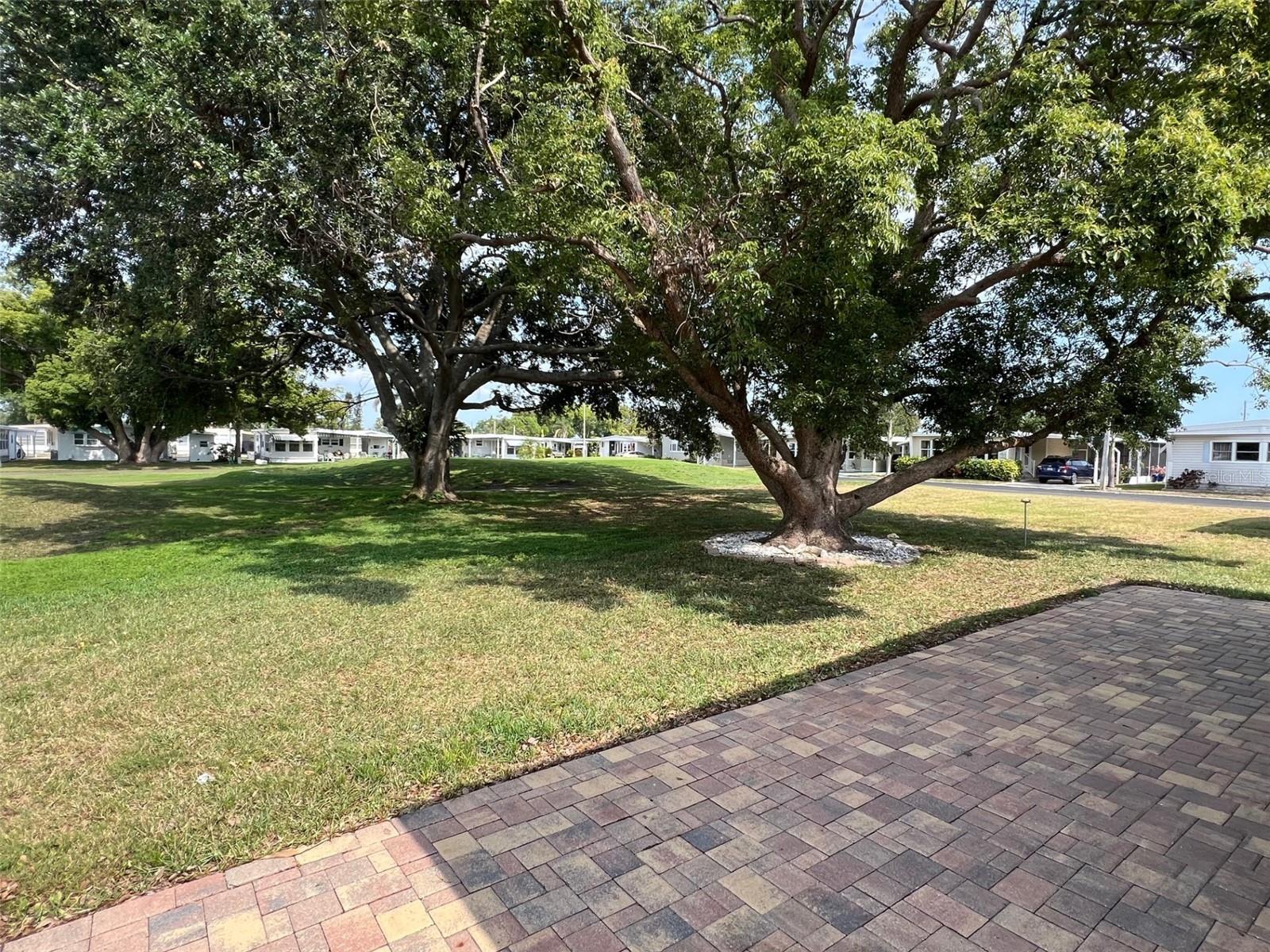Image 5 of 26 For 65 Sabal Palm Drive