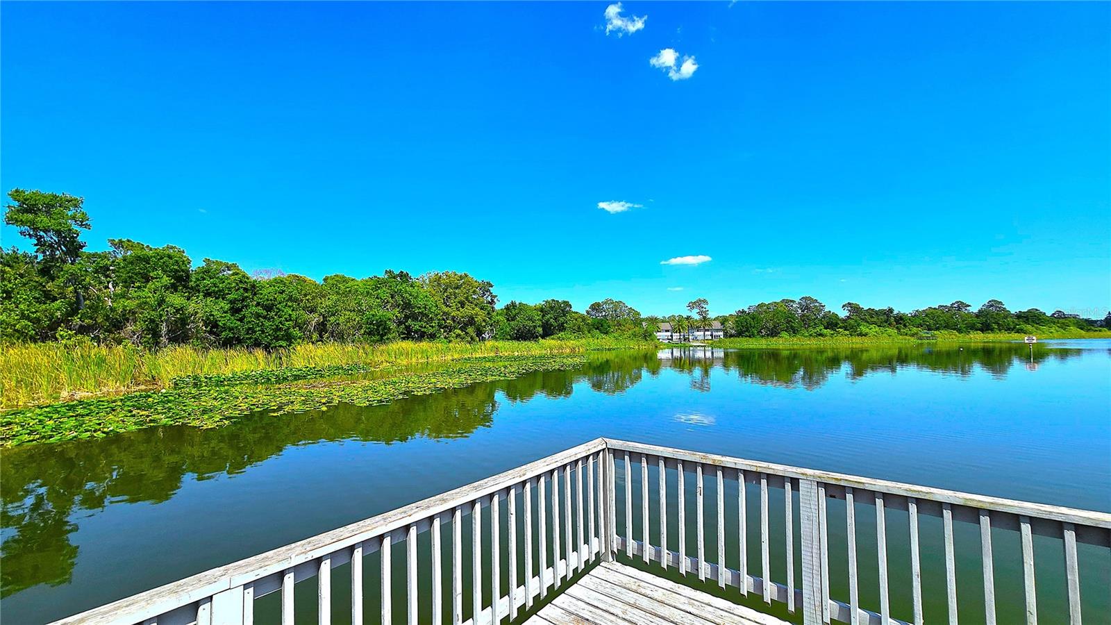 Image 65 of 70 For 3907 Orchard Hill Circle