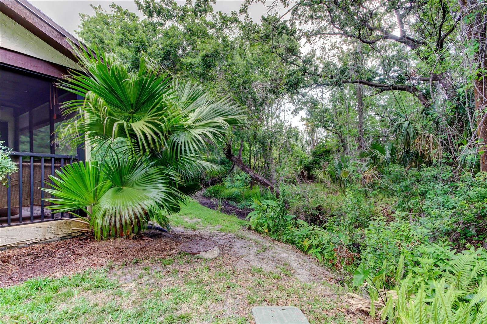 Image 47 of 59 For 2913 Fig Court