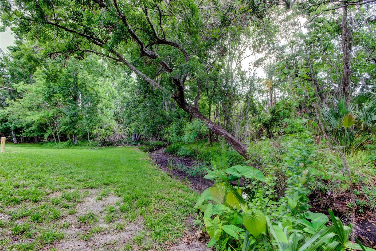 Image 51 of 59 For 2913 Fig Court