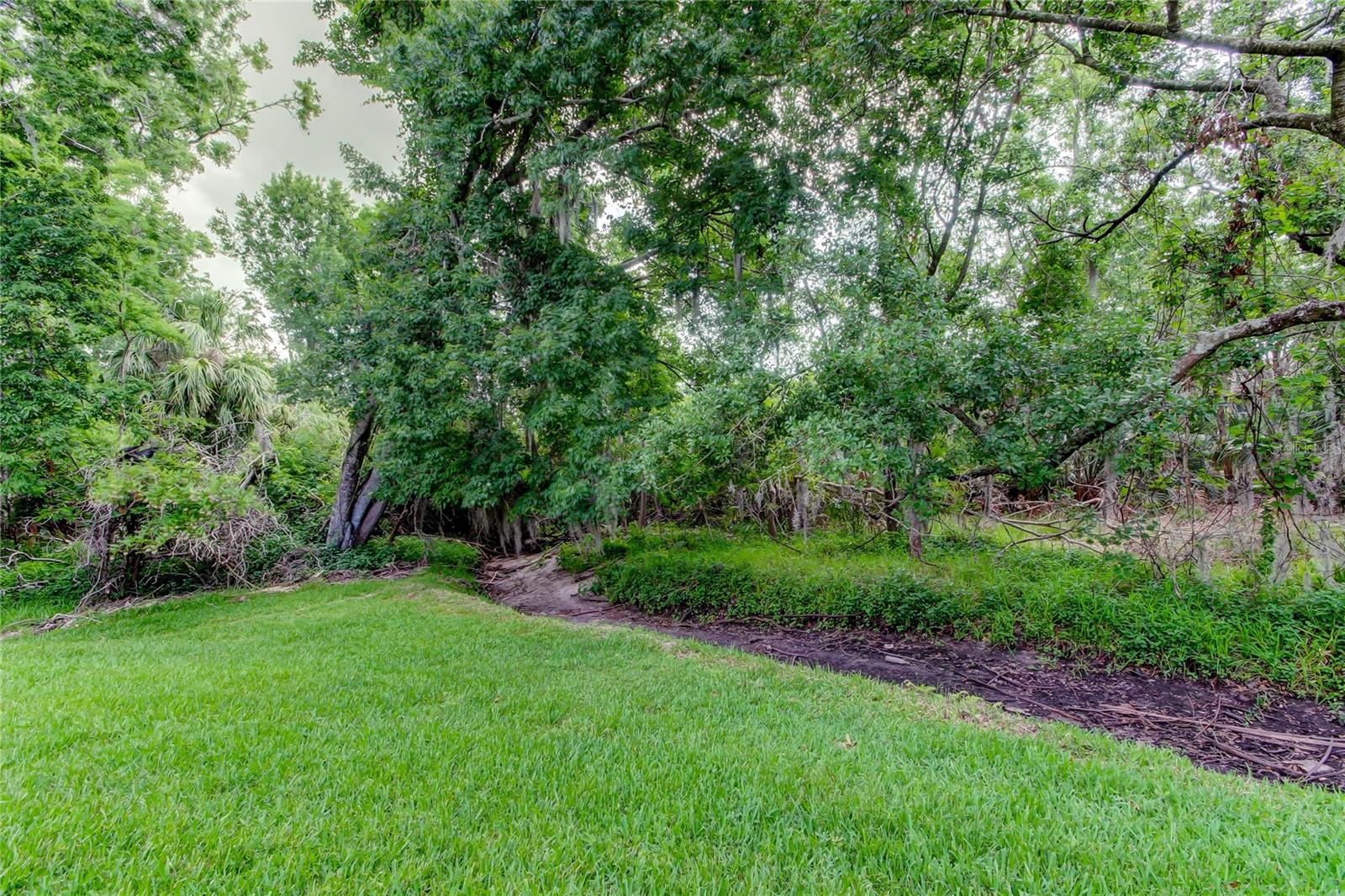 Image 53 of 59 For 2913 Fig Court