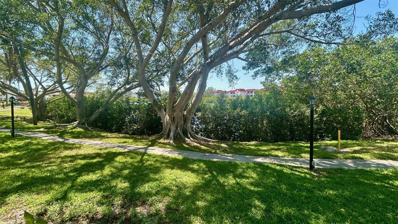 Image 16 of 22 For 4560 Overlook Drive Ne 168