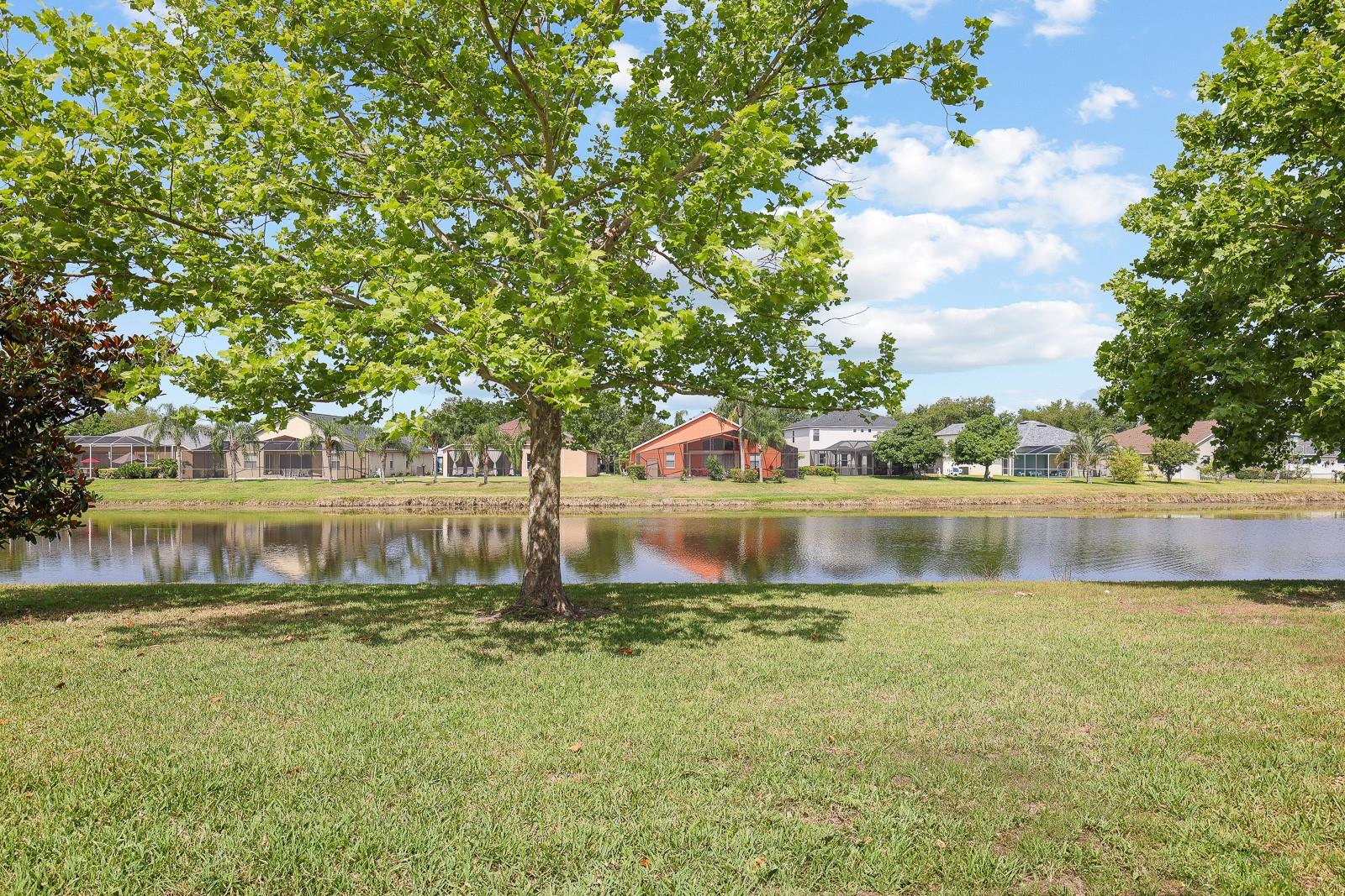 Image 18 of 25 For 6993 Towering Spruce Drive