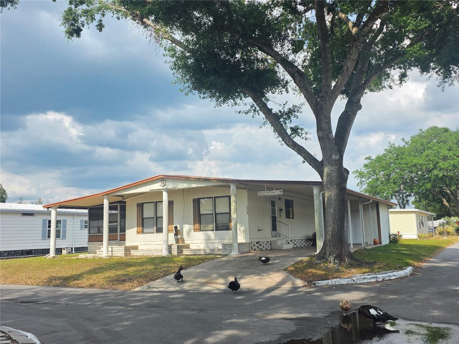Details for 6306 Waterfront Lane, ZEPHYRHILLS, FL 33542
