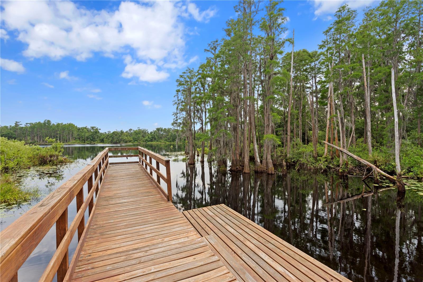 Image 32 of 33 For 14110 Damselfly Drive