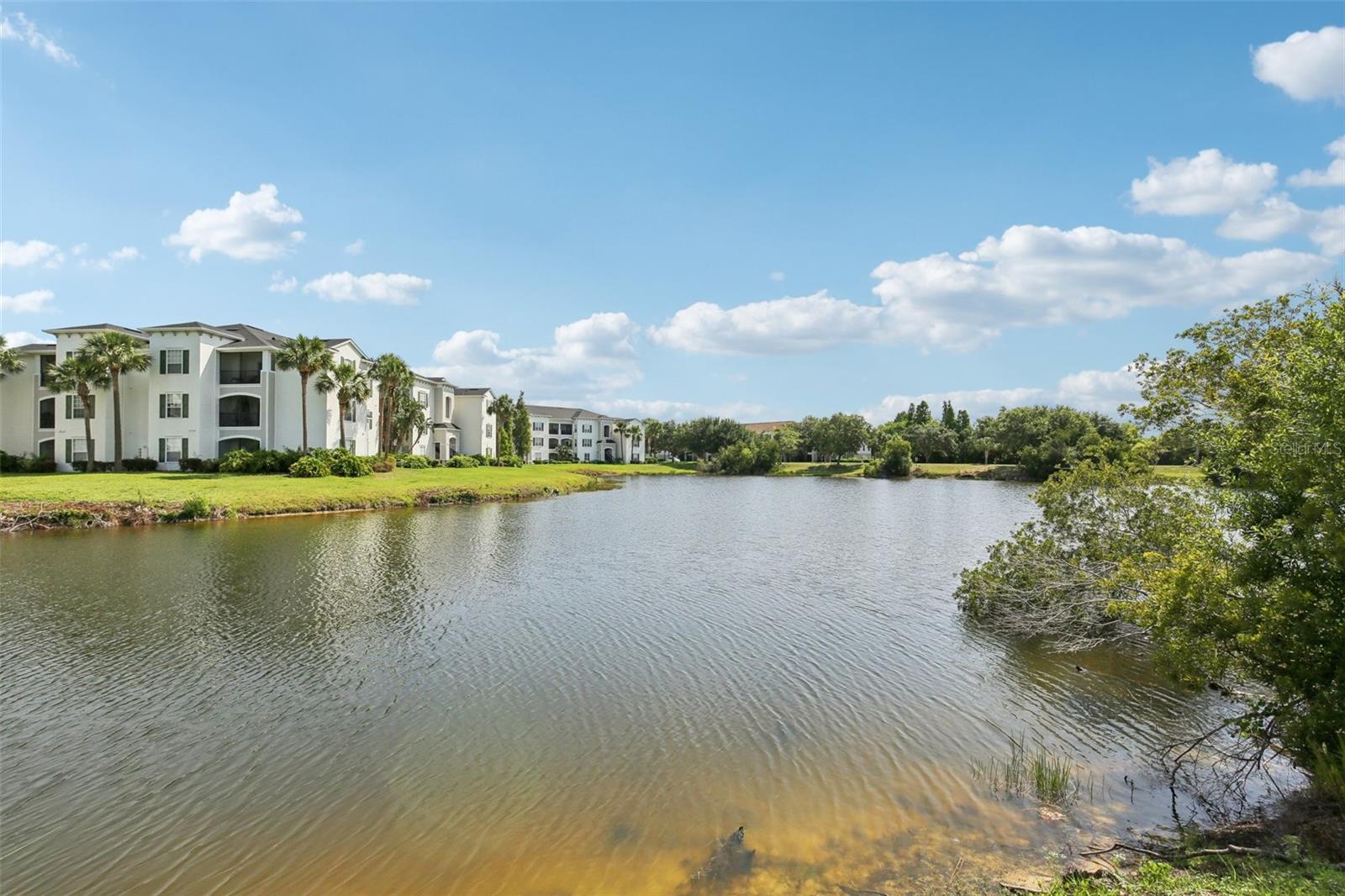 Listing photo id 1 for 1119 Ballard Green Place