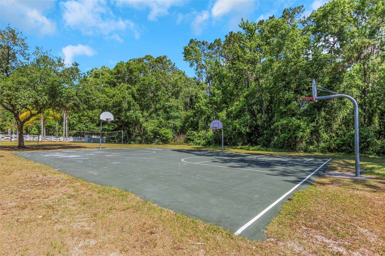 Image 41 of 45 For 3908 Lithia Ridge Boulevard