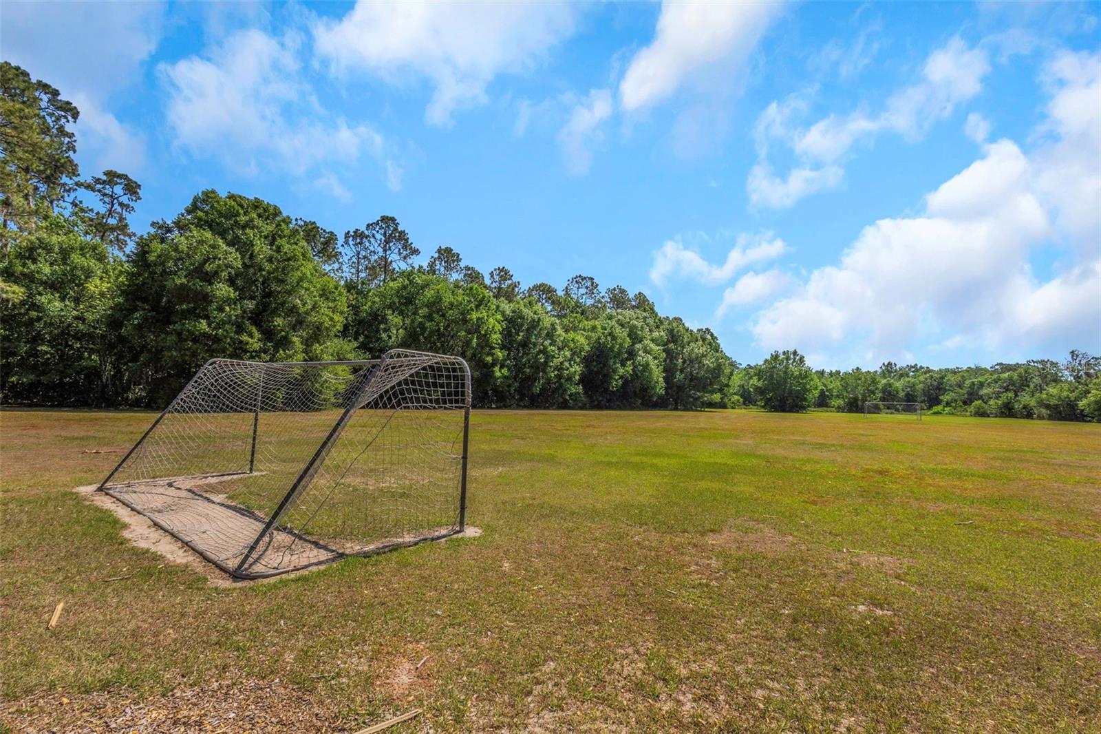 Image 43 of 45 For 3908 Lithia Ridge Boulevard