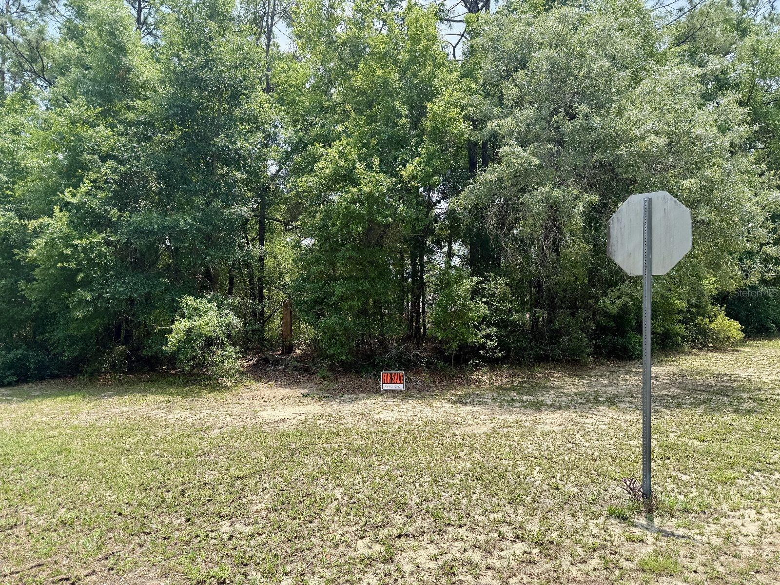 Image 7 of 11 For 8674 Upland Drive