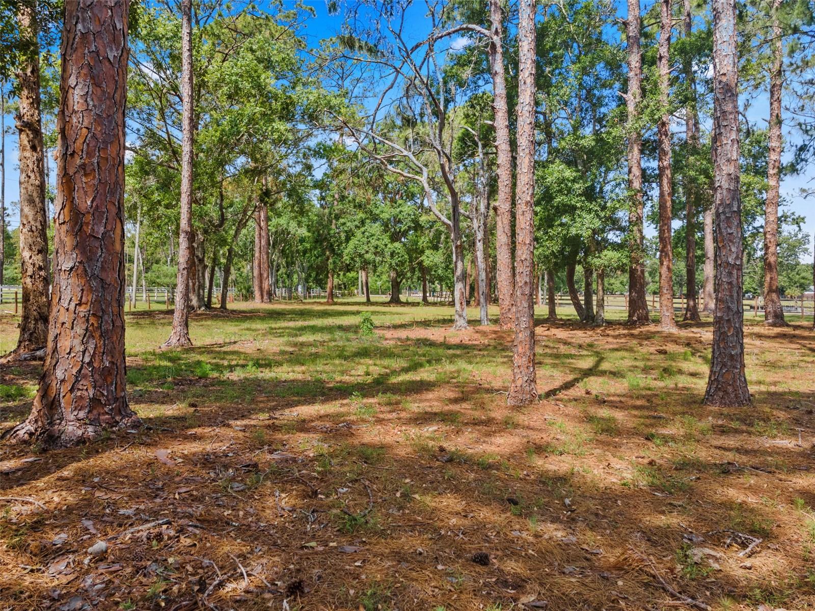 Image 32 of 45 For 495 Appaloosa Road