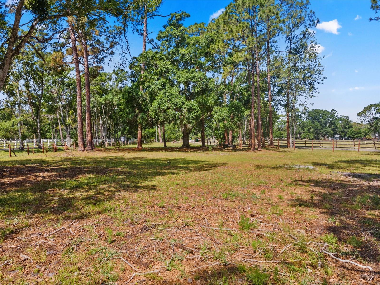 Image 33 of 45 For 495 Appaloosa Road