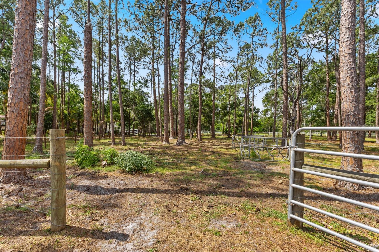 Image 38 of 45 For 495 Appaloosa Road
