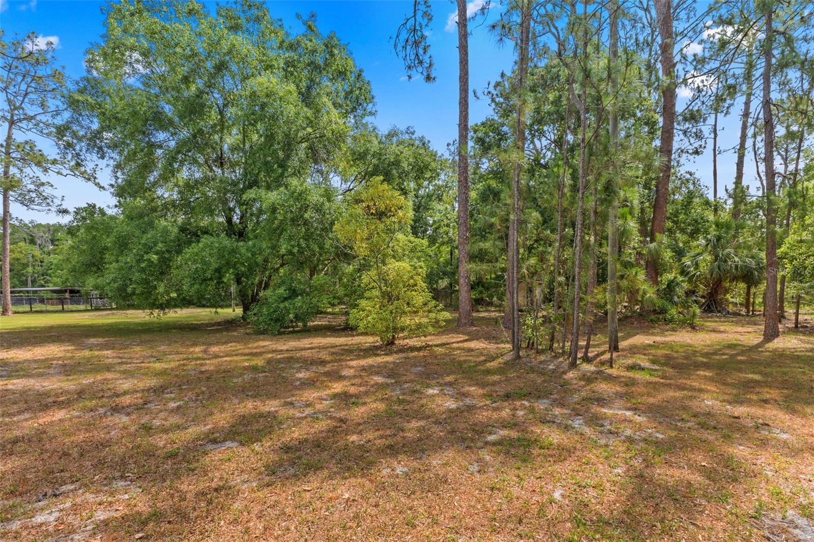 Image 39 of 45 For 495 Appaloosa Road