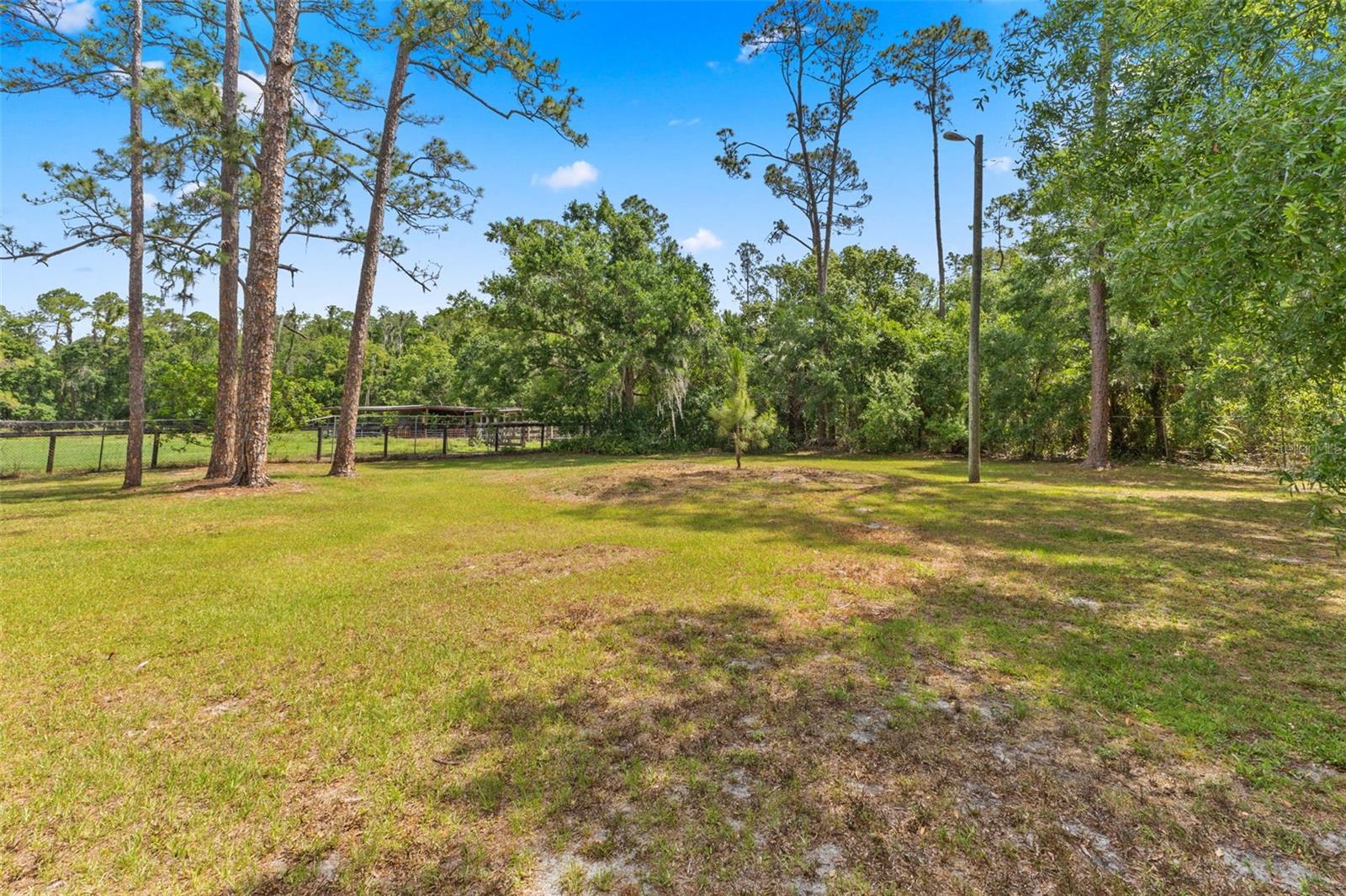 Image 40 of 45 For 495 Appaloosa Road
