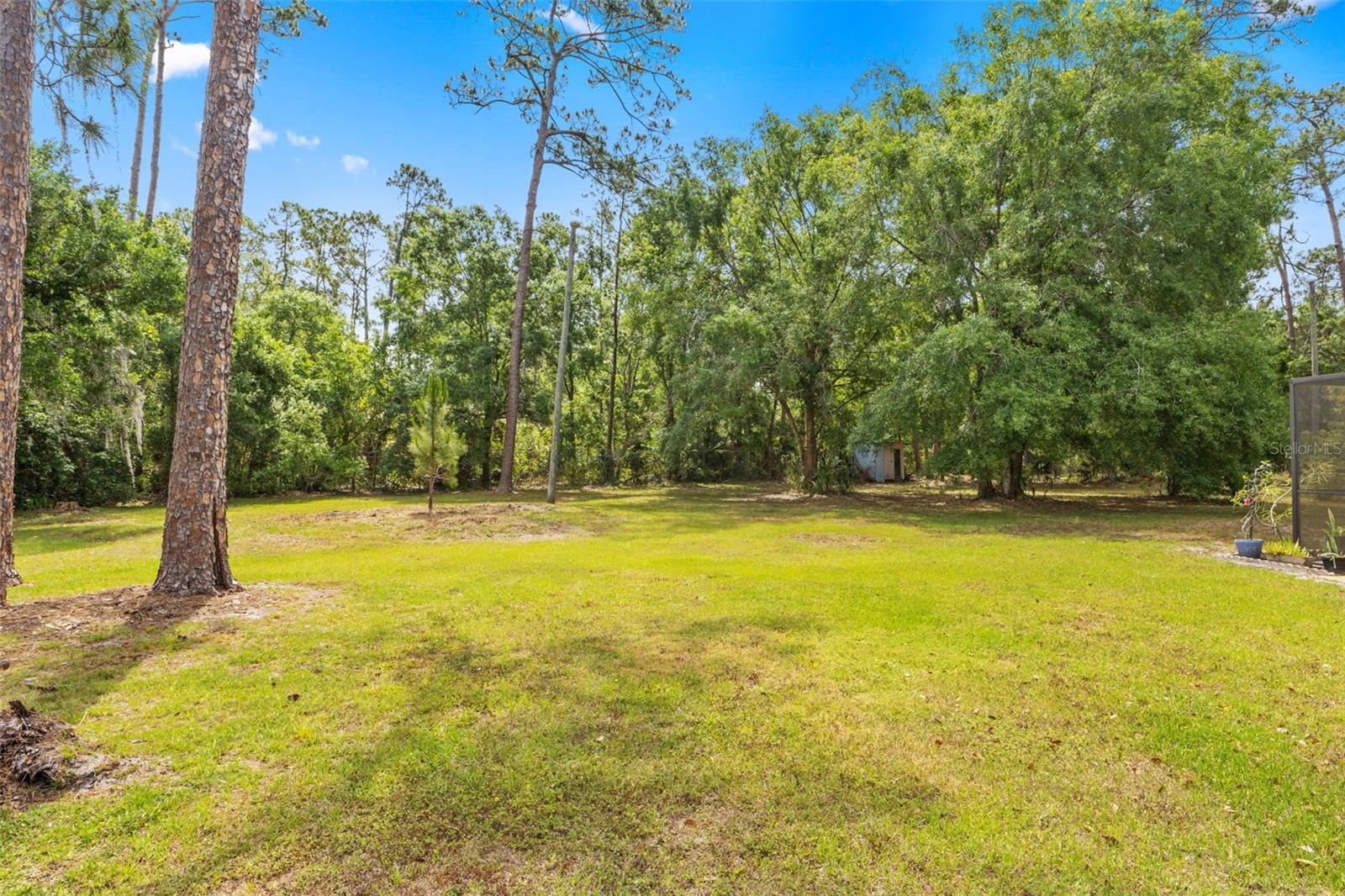 Image 41 of 45 For 495 Appaloosa Road