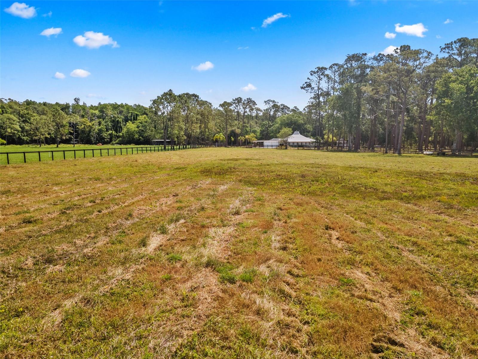 Image 43 of 45 For 495 Appaloosa Road