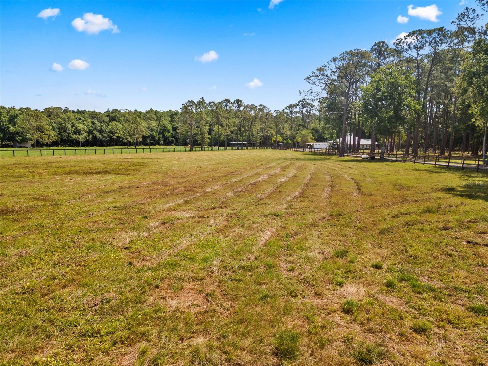 Image 6 of 45 For 495 Appaloosa Road
