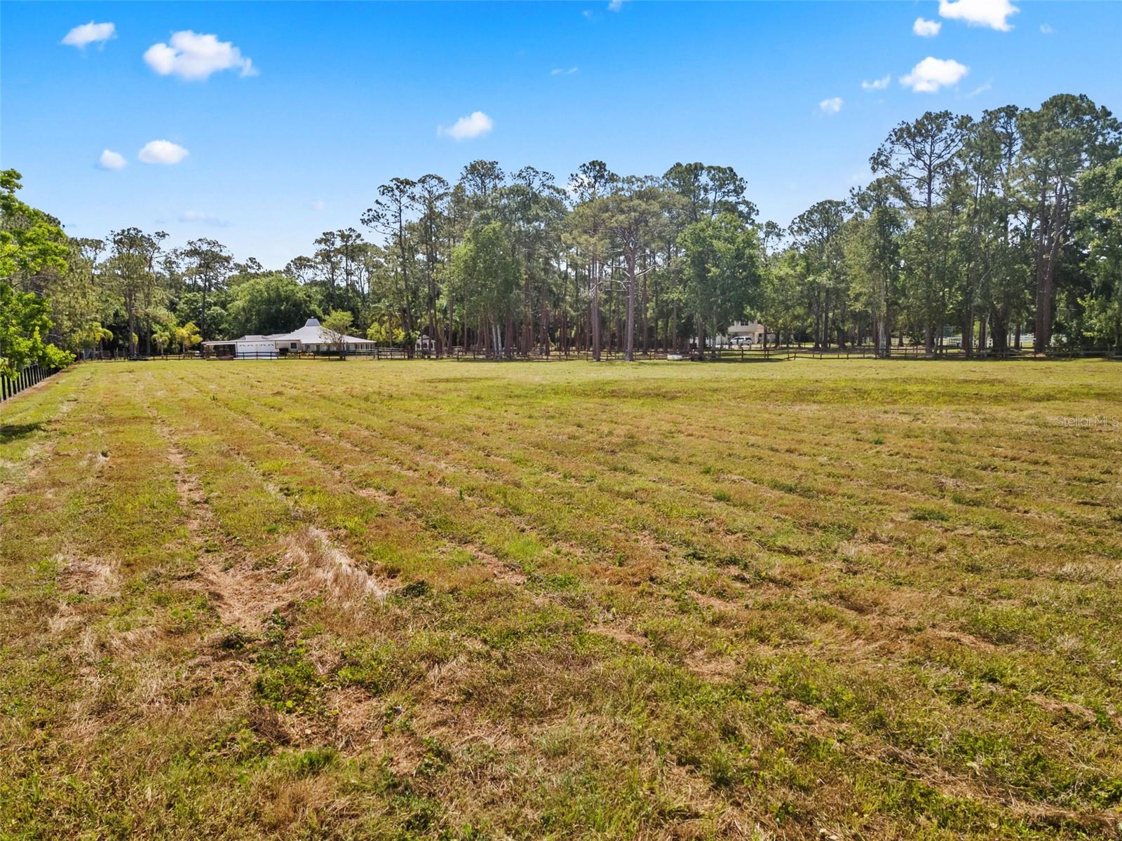 Image 8 of 45 For 495 Appaloosa Road