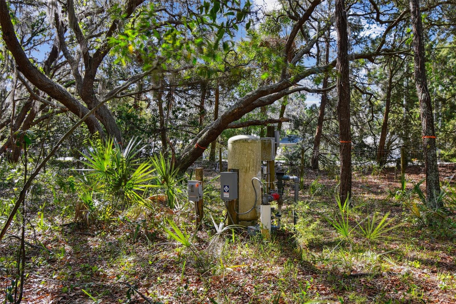 Image 13 of 33 For 18509 Jiretz Road