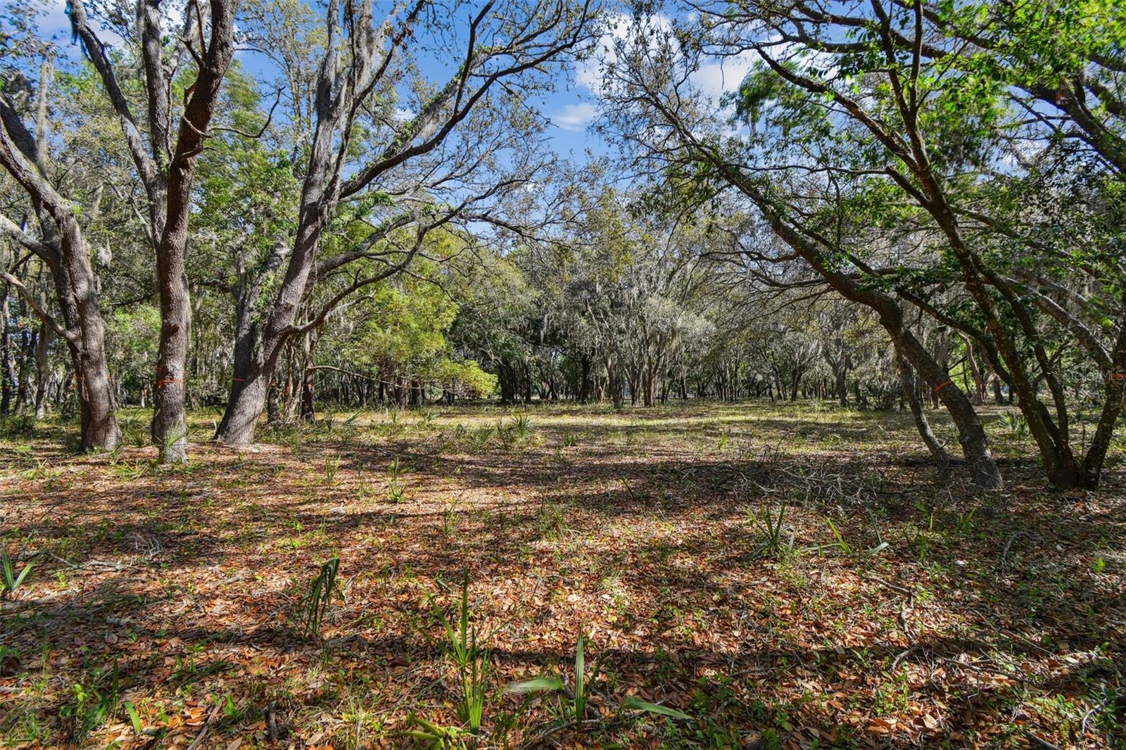 Image 14 of 33 For 18509 Jiretz Road