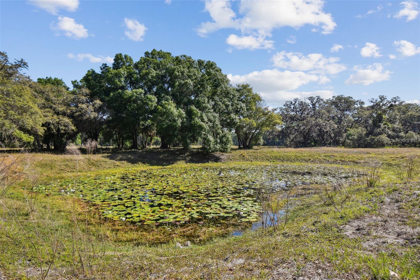 Image 15 of 33 For 18509 Jiretz Road