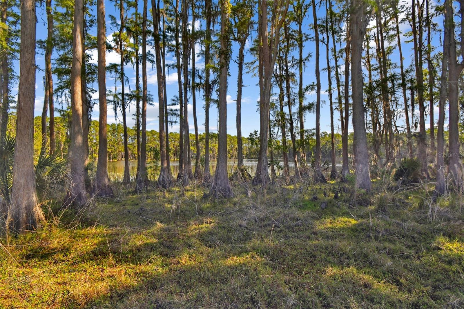 Image 17 of 33 For 18509 Jiretz Road