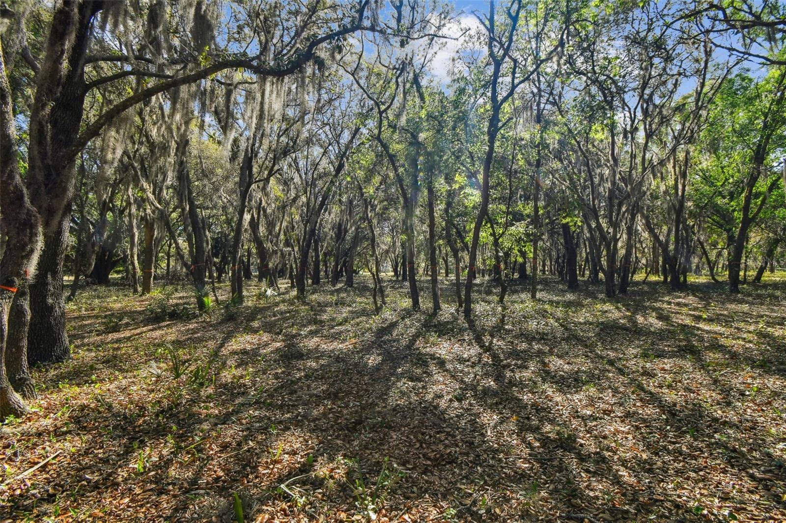 Image 26 of 33 For 18509 Jiretz Road