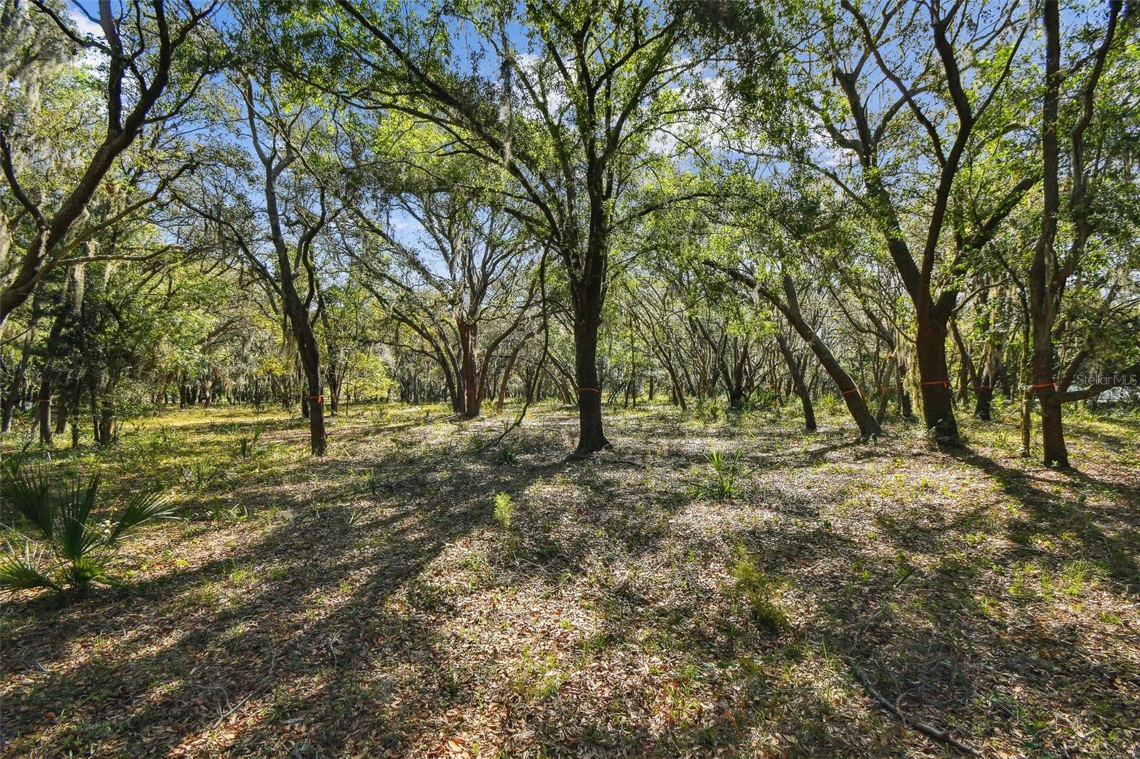 Image 27 of 33 For 18509 Jiretz Road