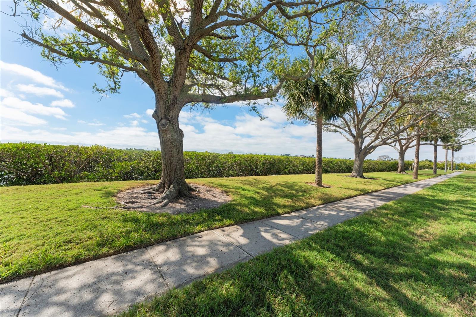 Image 17 of 22 For 7075 Sunset Drive S
